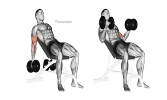 Inclined Dumbell Curl