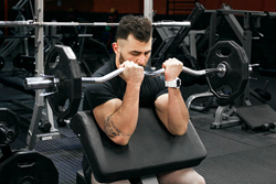 Preacher Curls