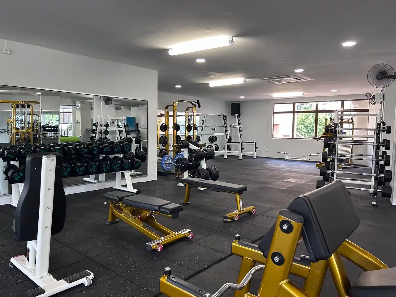 Fitnacle KD Branch 8